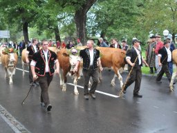 Alpabzug Unspunnen